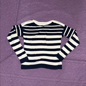 The Limited Navy and White Striped Sweater
